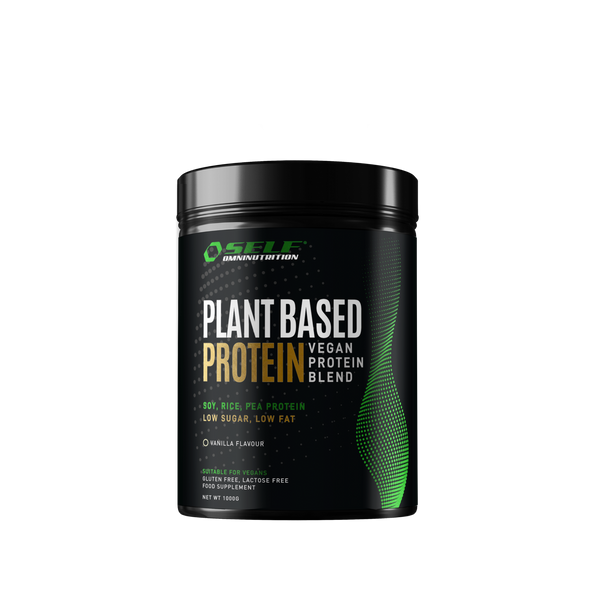 Plant Based Protein, (laktosefri/glutenfri), Vanilla